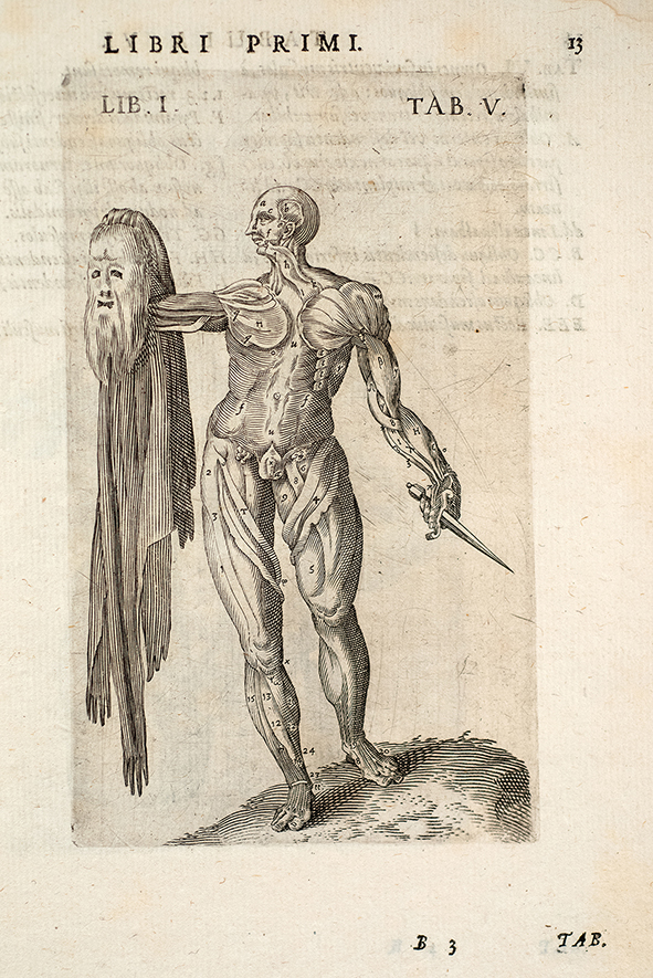 Gallery Medecine, la peau